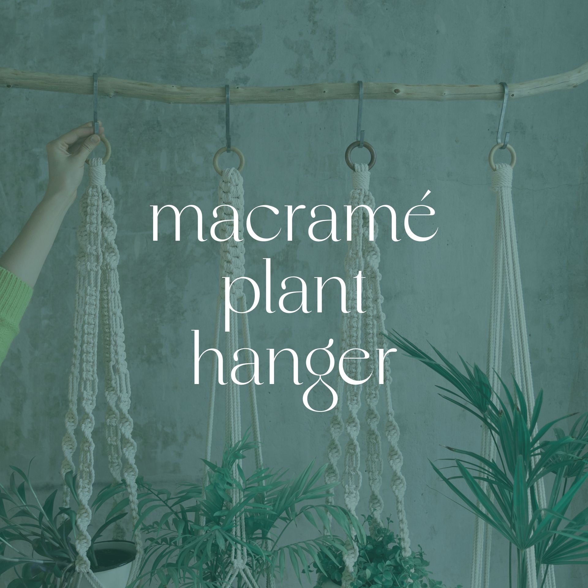 Macrame Plant Hangers
