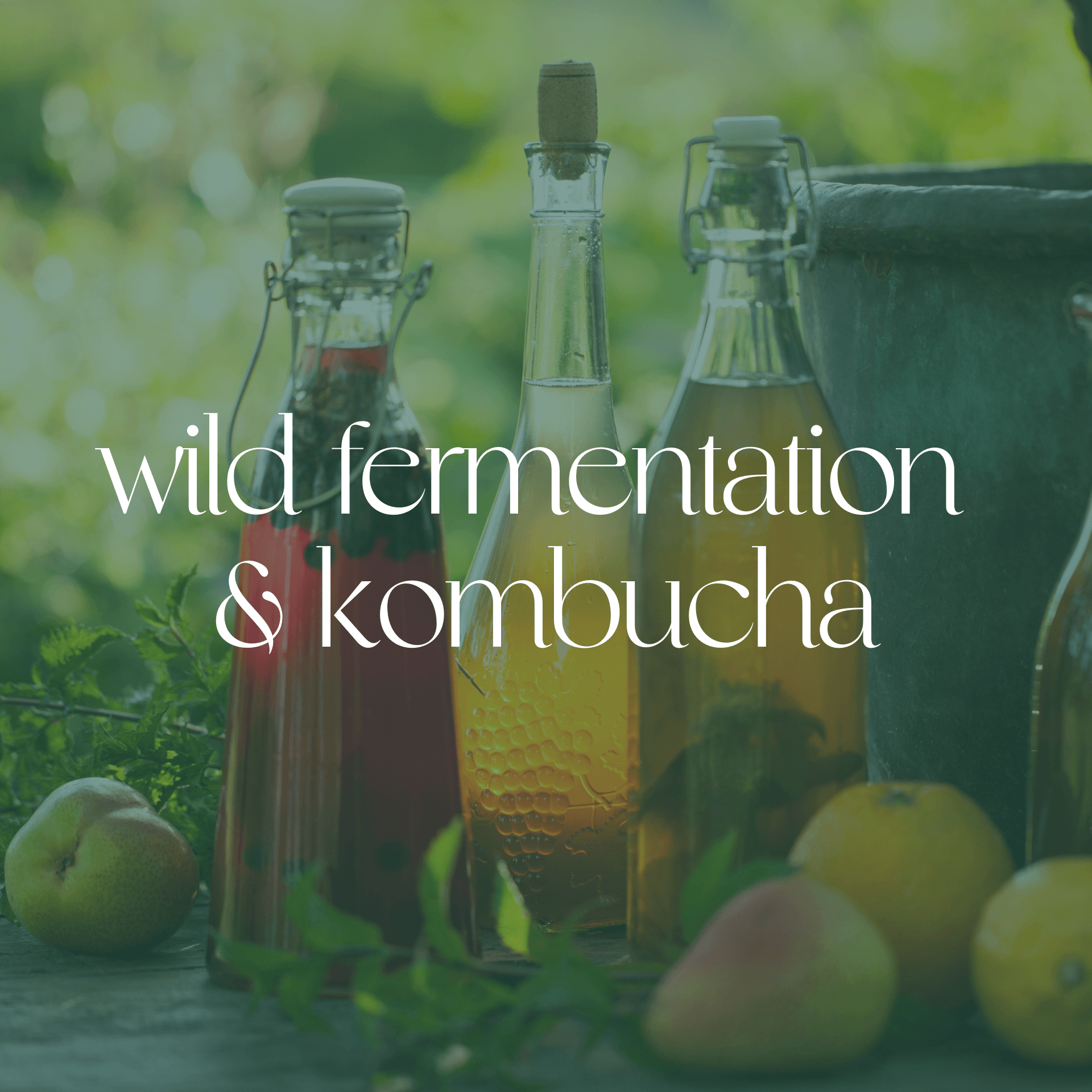 Wild Fermentation &amp; Kombucha: Creating Living Elixirs at Home
