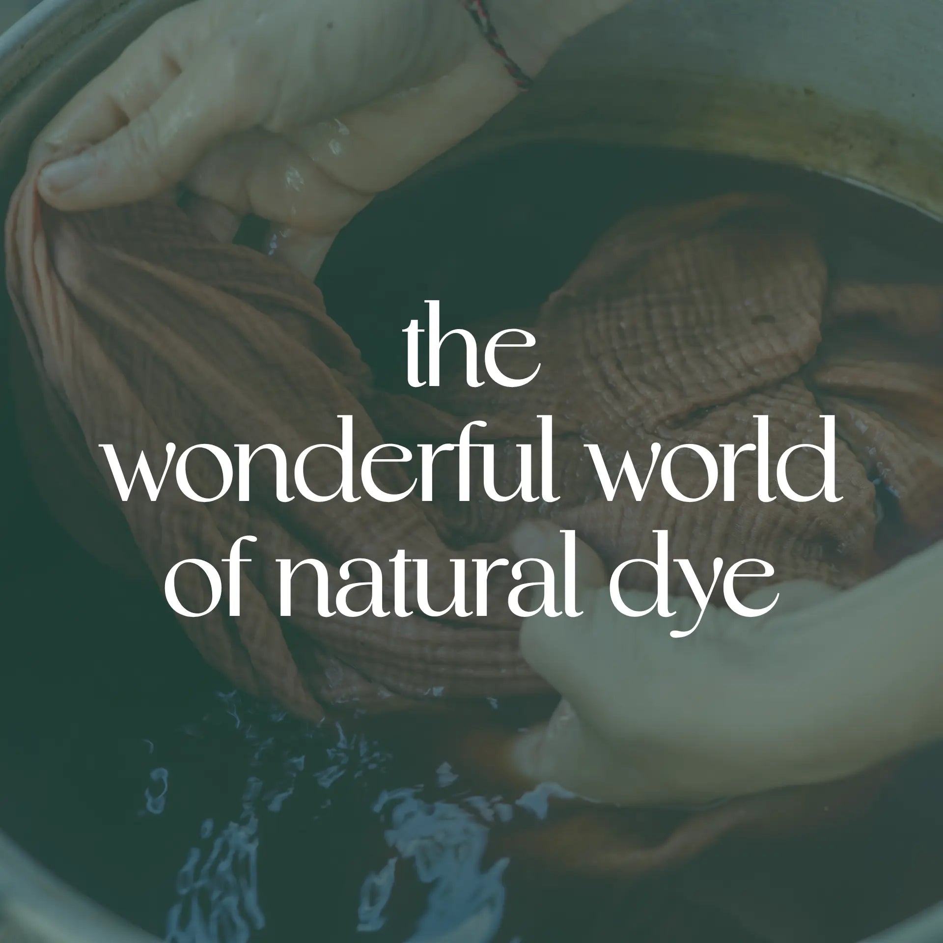The Wonderful World of Natural Dye