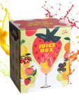Juice Box - A Fruit Wine Kit