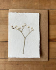 Baby's Breath Pressed Flower Card