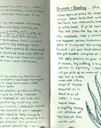 Herbal First Aid: Assembling a Natural First Aid Kit (Zine)