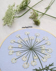 Queen Anne's Lace Embroidery Kit