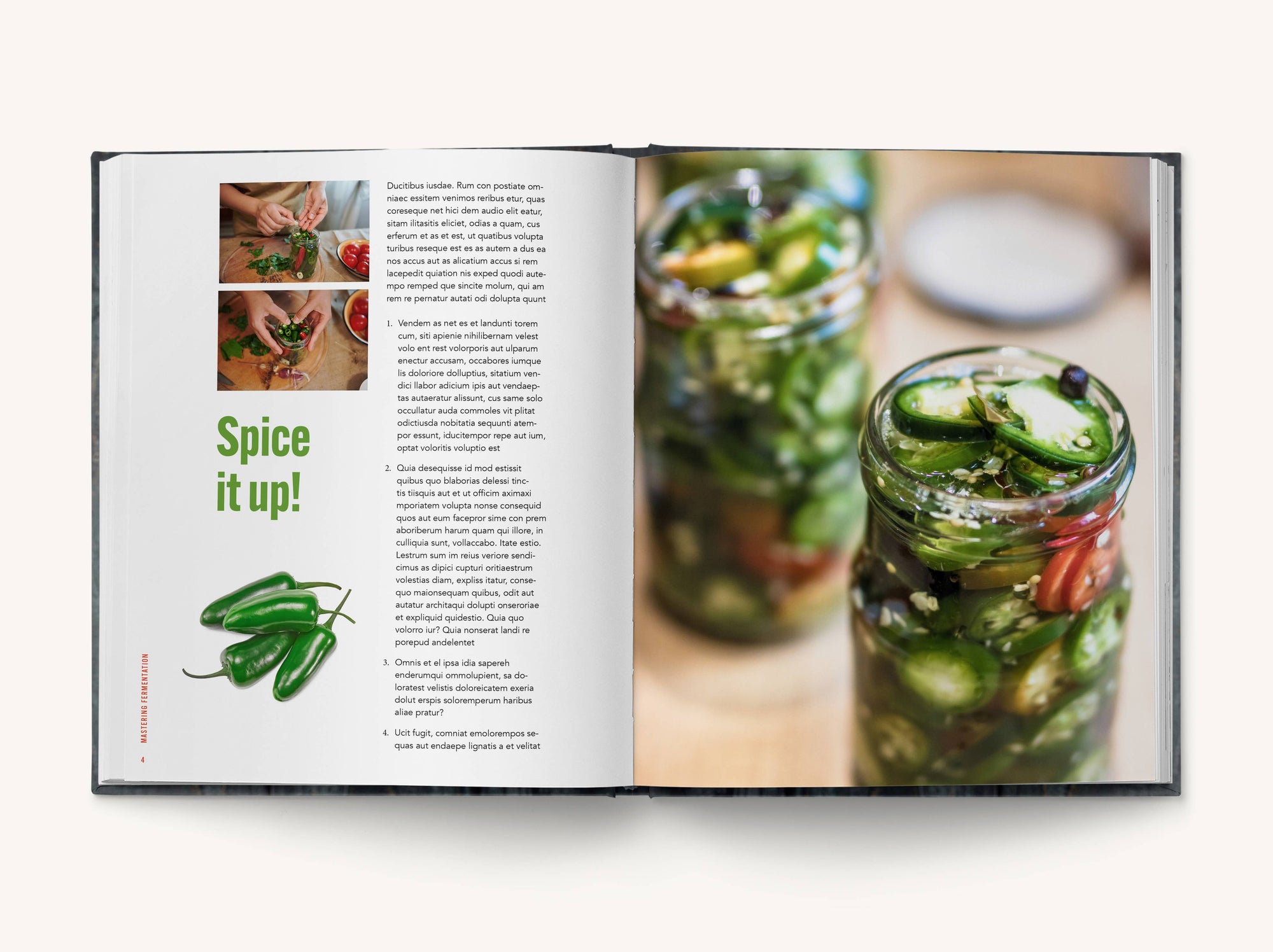 Mastering Fermentation: 100+ Homemade Recipes