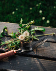Dandelion Weeding Fork