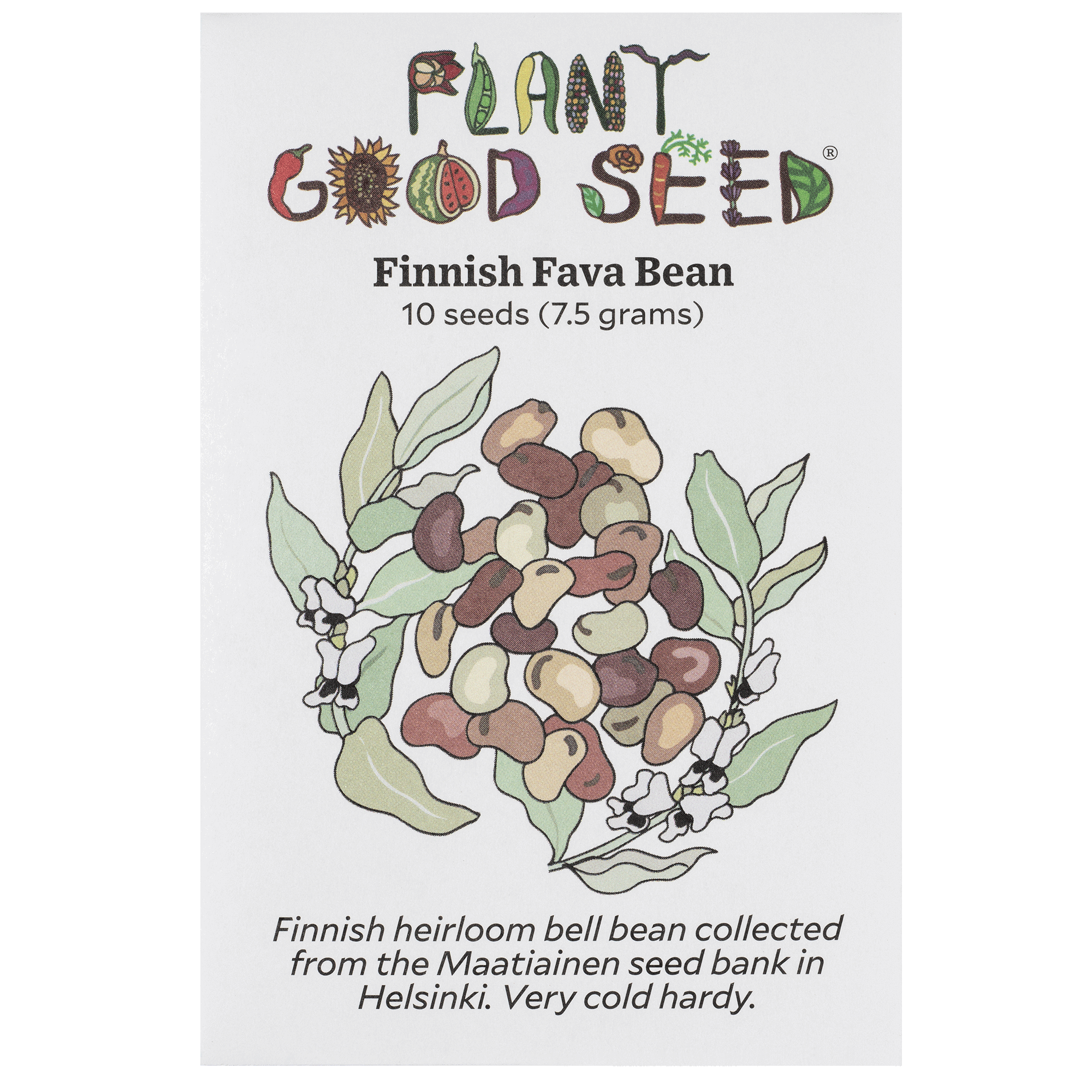 Finnish Fava Bean