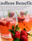Kombucha Starter Culture
