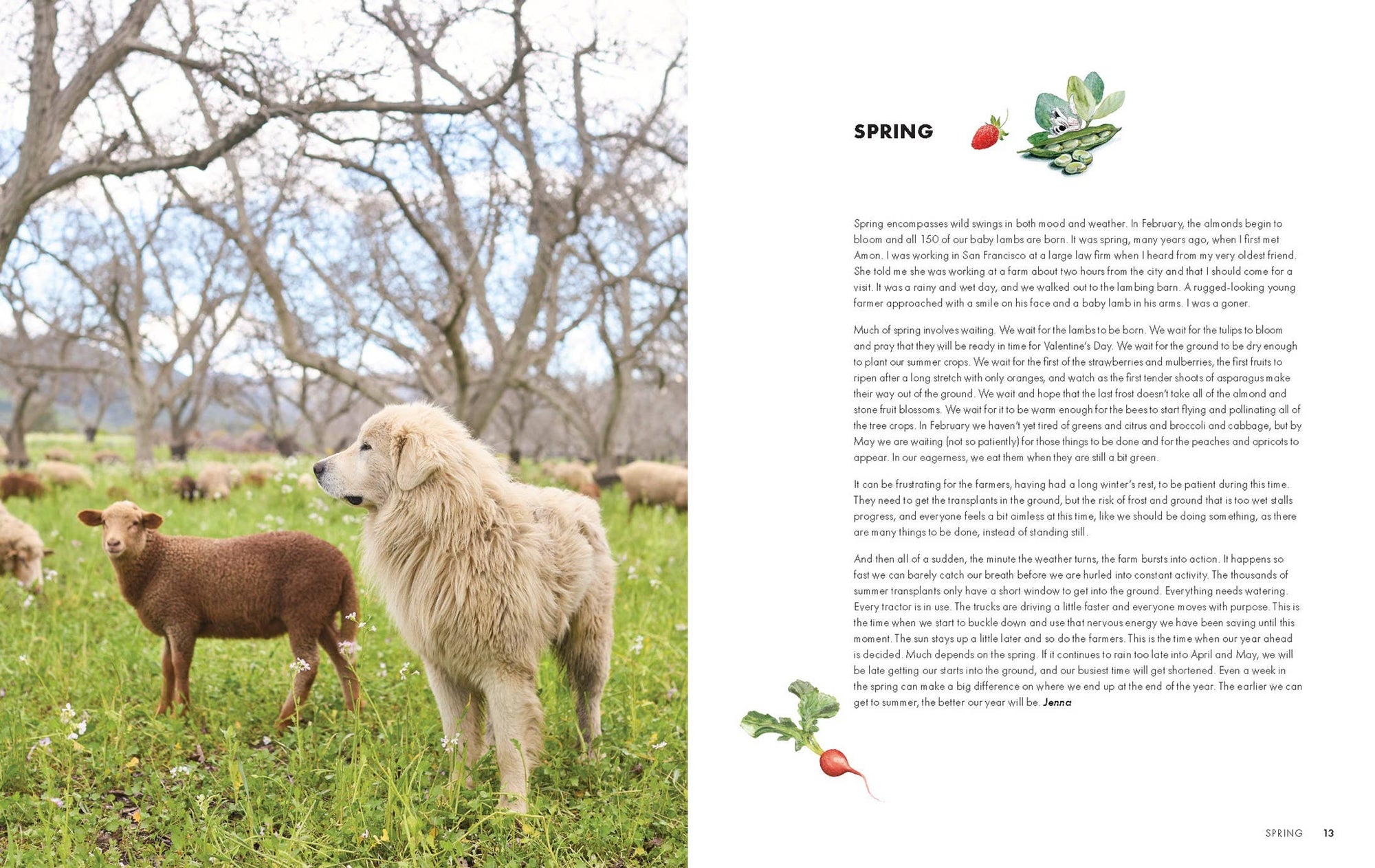 Full Belly Farm &amp; Kitchen Cookbook
