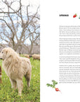 Full Belly Farm & Kitchen Cookbook