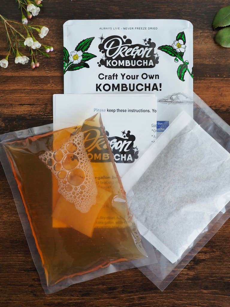 Jasmine Green Tea Kombucha SCOBY + Tea Kit