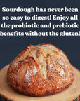 Gluten-Free Sourdough Starter