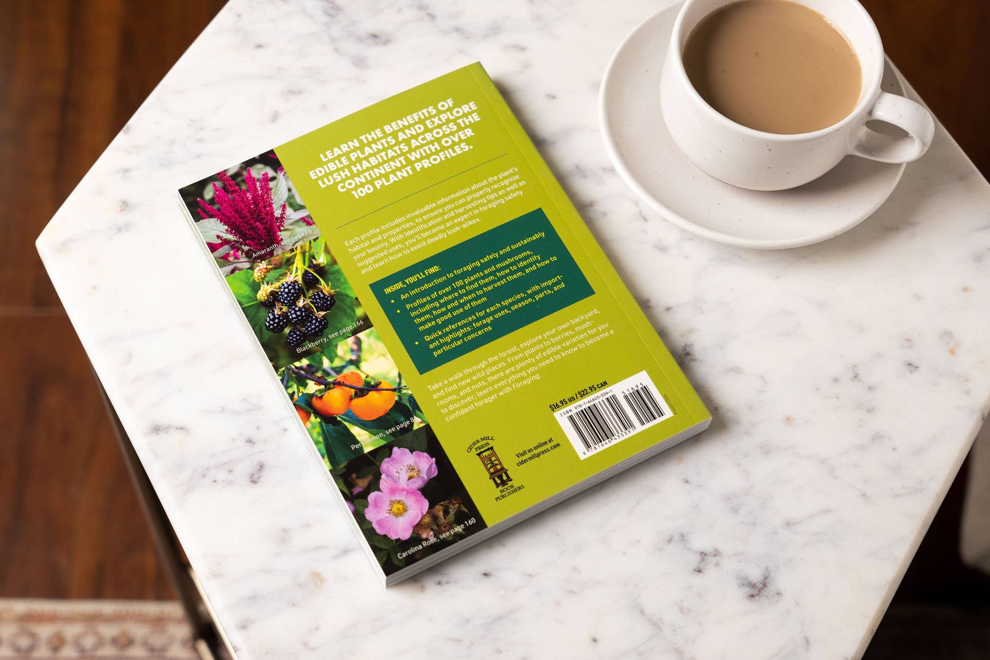 Foraging: An Illustrated Guide to Edible Wild Plants