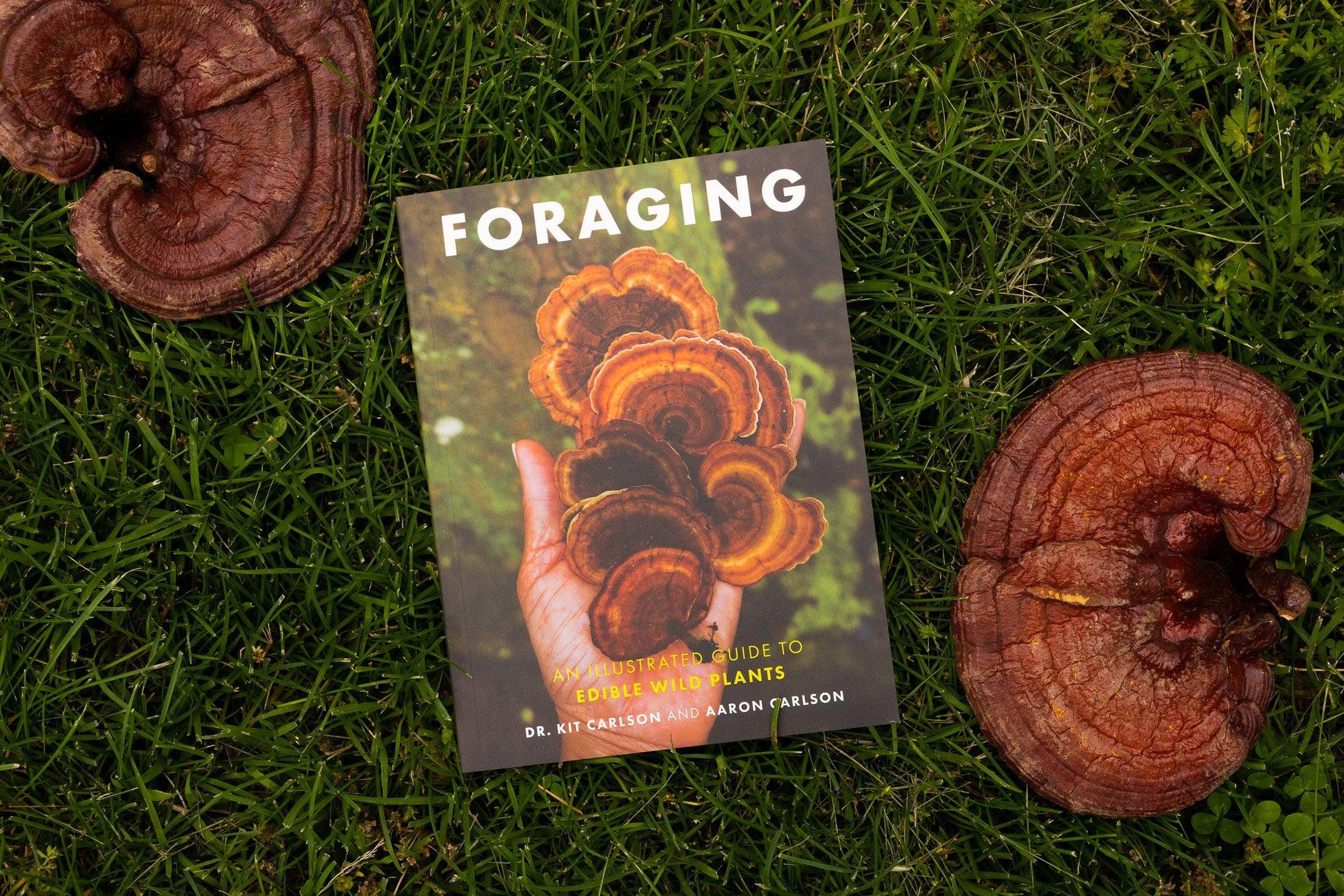 Foraging: An Illustrated Guide to Edible Wild Plants