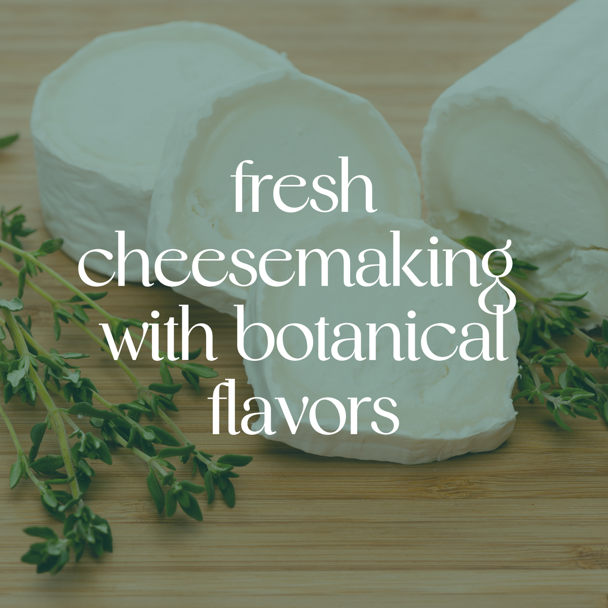 Fresh Cheesemaking with Botanical Flavors