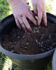 Integrity Wool Pellet Fertilizer